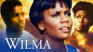 Wilma — foto 1