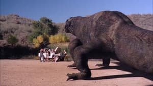 The Curse of the Komodo — foto 8