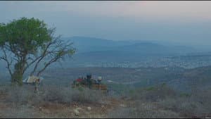 מתיישבים — foto 1
