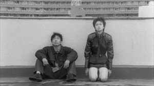 バレット・バレエ — foto 3