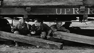 The Iron Horse — foto 4