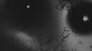 Una sombra oscilante — foto 3