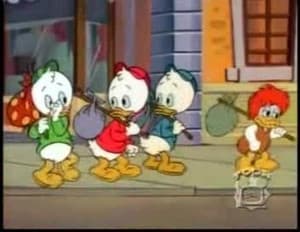 Patos Yuppies