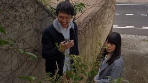 可愛い悪魔 — foto 3