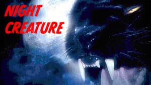 Night Creature — foto 3