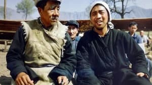 笨人王老大 — foto 1