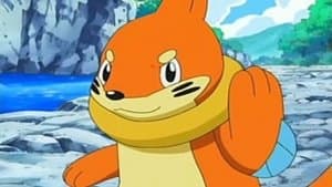 ¡Buizel, Cuidado Con Tu Camino!