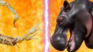 Episodio 11