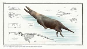 Big Beasts: Last of the Giants — foto 3
