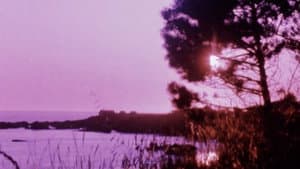 Matter of Clarity — foto 9