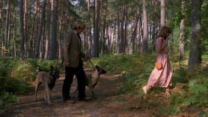 Les Chiens — foto 2
