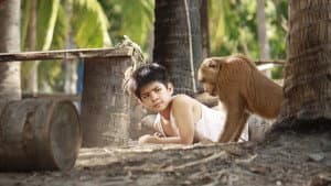 กะปิ ลิงจ๋อไม่หลอกจ้าว — foto 1