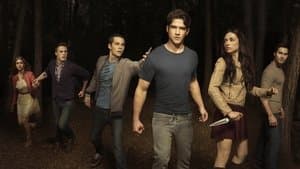 Lobo Adolescente — foto 6