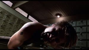 Tuff Turf — foto 10