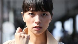 光 — foto 5