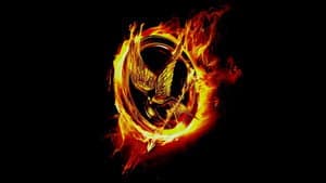 Surviving the Game: Making The Hunger Games: Catching Fire — foto 1