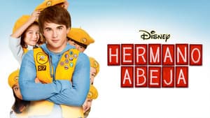 Hermano abeja — foto 7