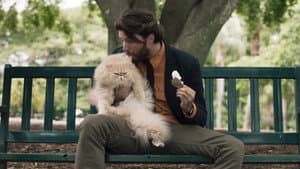 Un Homme et un Chat — foto 1