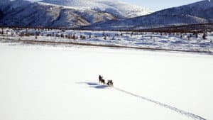 Loup — foto 5