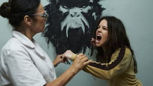 12 Monos — foto 5