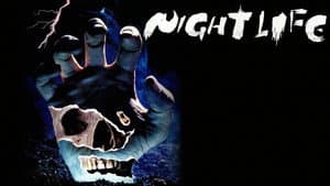 Night Life — foto 4