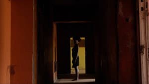 There Is No Light Inside the Mirror — foto 3