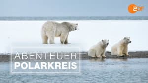 Abenteuer Polarkreis — foto 1