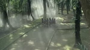 Viva JKT48 — foto 3
