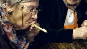 A Granny's Guide to the Modern World — foto 2