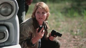 Arlington Road — foto 7