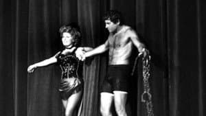 The Great Houdinis — foto 1