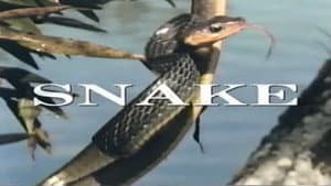 Predators of the Wild: Snake — foto 1