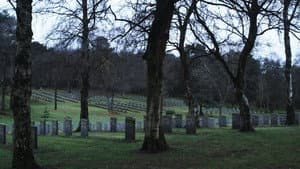 Sideworld: Haunted Forests of England — foto 1