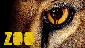 Zoo — foto 4