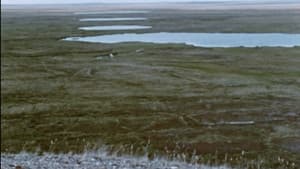 Netsilik Eskimo, II: At the Caribou Crossing Place — foto 2