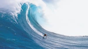 Billabong Odyssey — foto 3