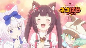Episodio 9