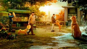 Hachiko 2: Siempre a tu lado — foto 2