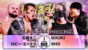 NJPW Hiroshi Tanahashi ~ Final Homecoming — foto 6