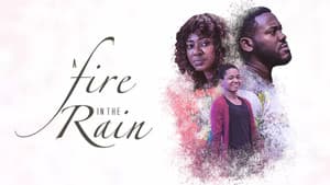 A Fire In The Rain — foto 2