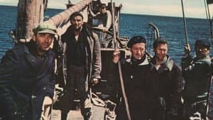 Los Cañones de Navarone — foto 5