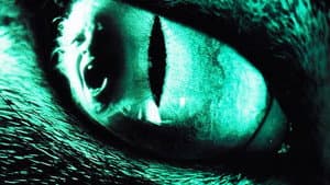 El ojo del gato — foto 7