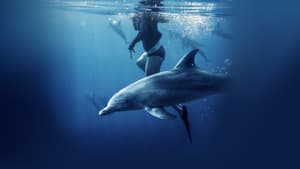 Saved From a Shark — foto 11