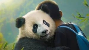 Moon, mi amigo panda — foto 3