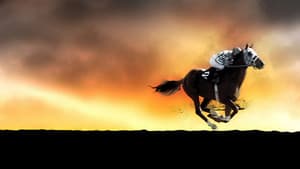 Secretariat — foto 8