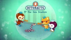 Episodio 5