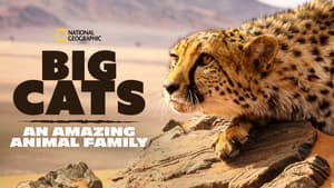 Big Cats: An Amazing Animal Family — foto 7