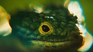 Parpadea dos veces — foto 4