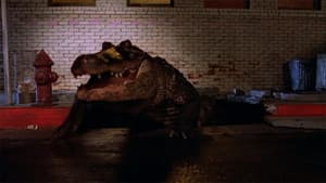 Alligator — foto 5
