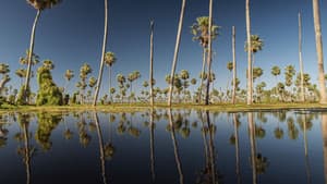 Wild Argentina: Extreme Earth — foto 3